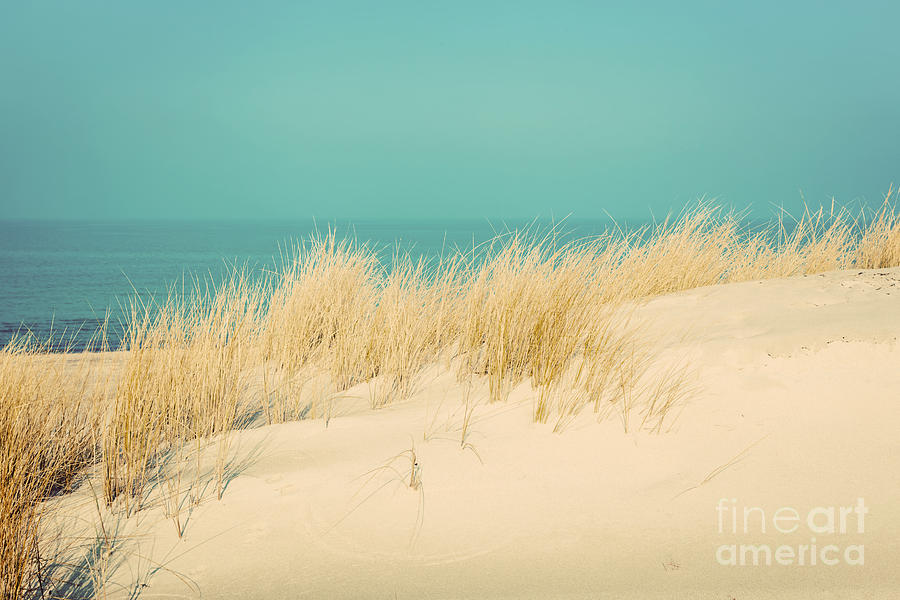 Vintage Photograph - Calm sunny beach with dunes and grass by Michal Bednarek