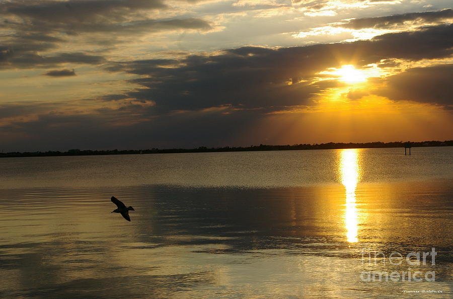 Calm Sunset Photograph by Tannis  Baldwin