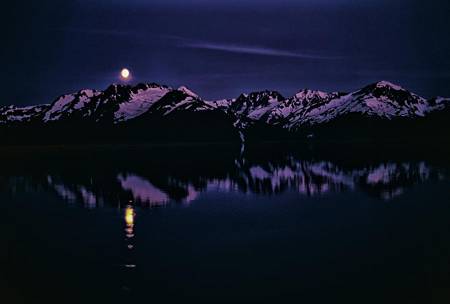 Calm Water In Alaska Photograph by Robert Woodward
