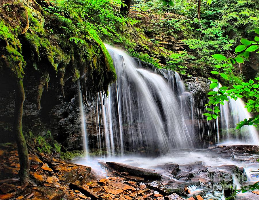 Calming Waterfall Photograph by Nick Zelinsky Jr