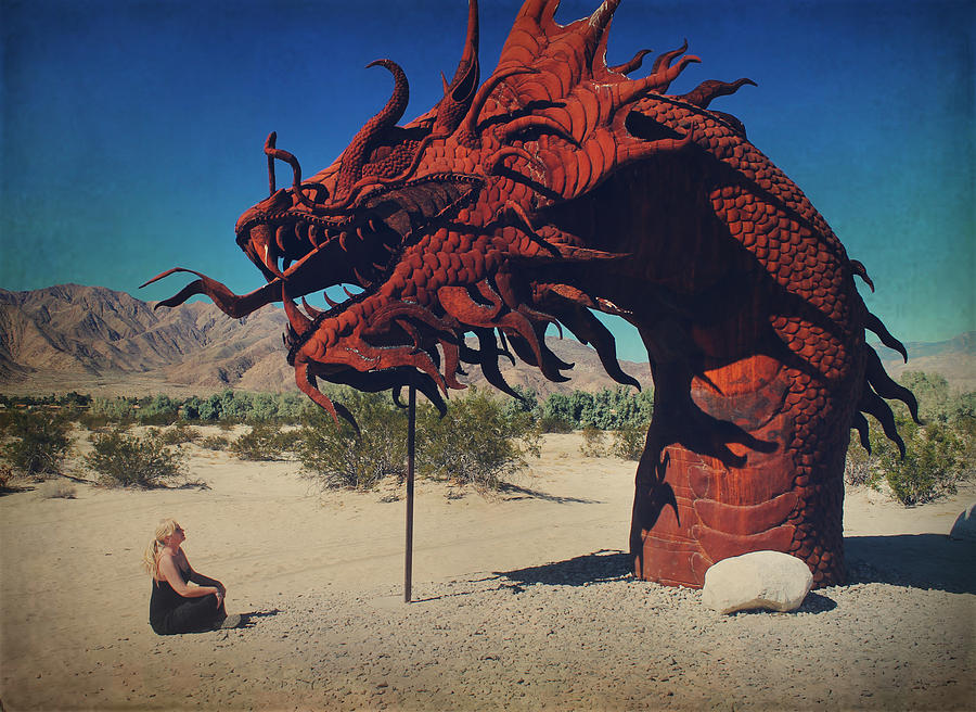 Desert Photograph - Calmly Facing Down My Demon by Laurie Search