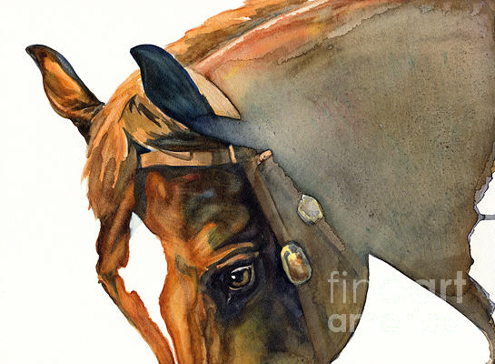 Horse Painting - Calypso by Joanna Zeller Quentin