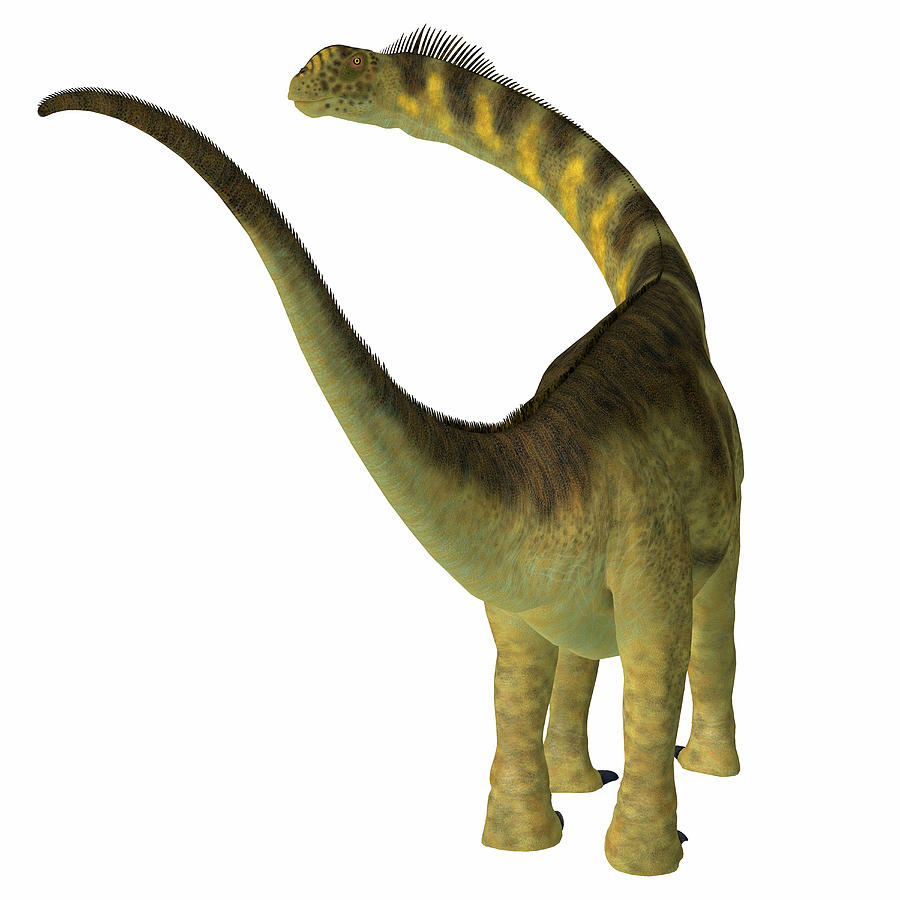 camarasaurus