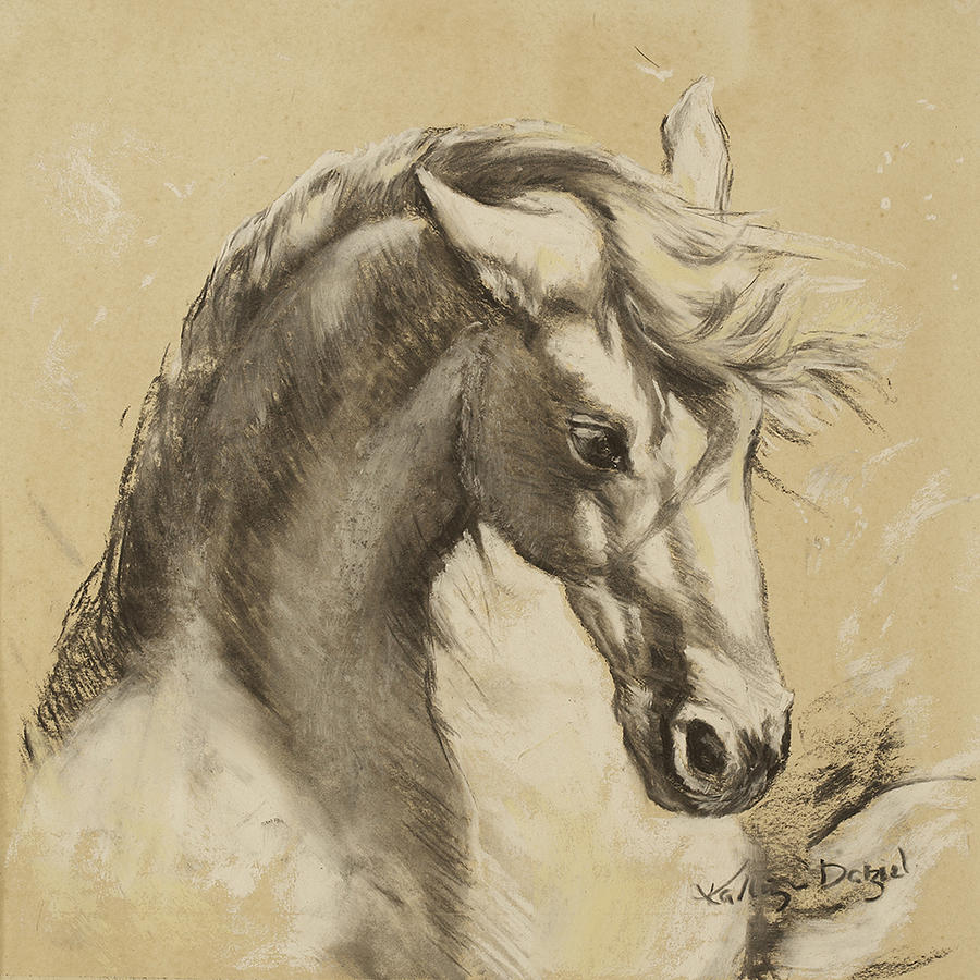 Camargue horse Drawing by Kathryn Dalziel | Fine Art America