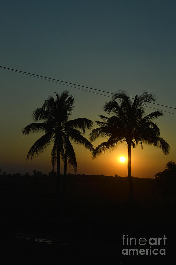 Sunset Photograph - Cambodian Sunset  by Shawna Gibson