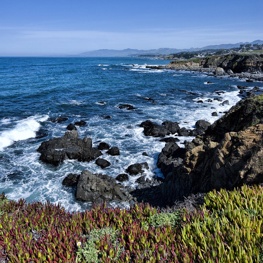 California Landscapes Photograph - Cambria CA by Mike Herdering