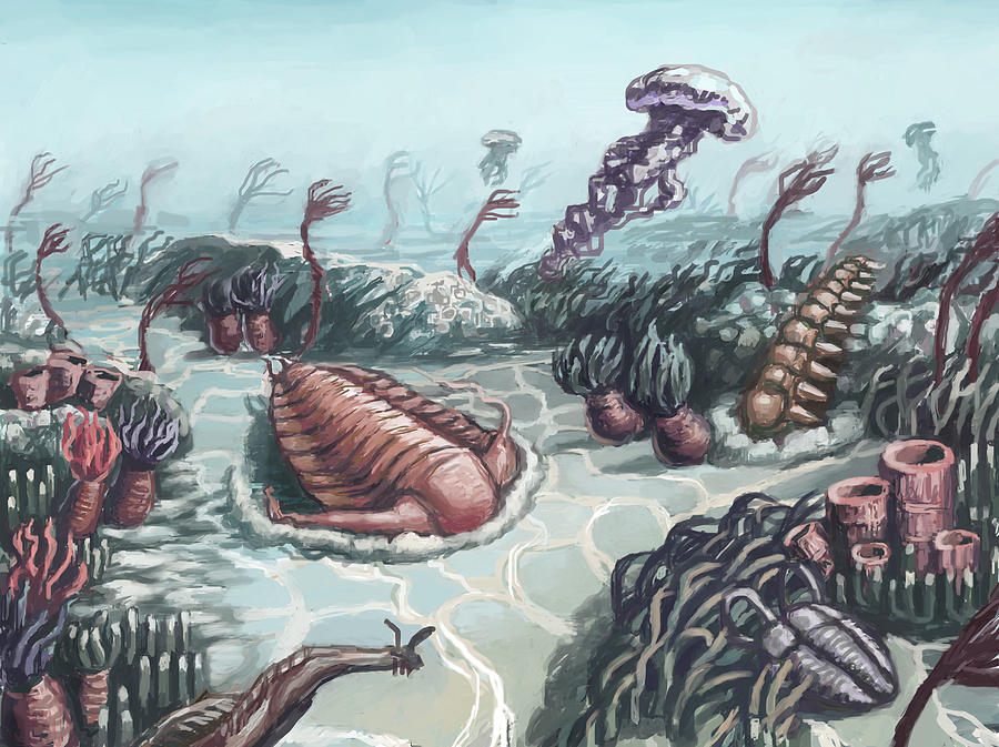 Cambrian Period, Illustration Photograph by Spencer Sutton