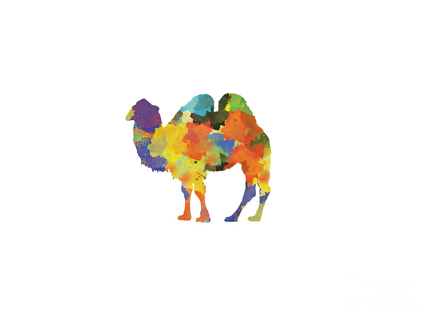 Camel 2 - Silhouette Print Digital Art by Trilby Cole