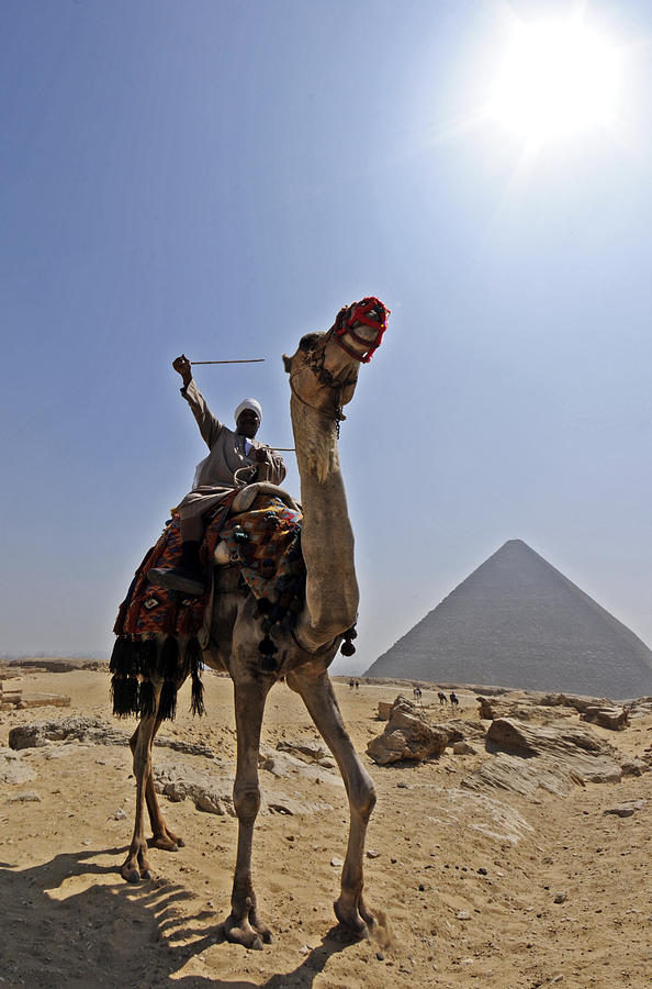 Camel driver and Pyramid in Cairo Egypt Photograph by Dray Van Beeck