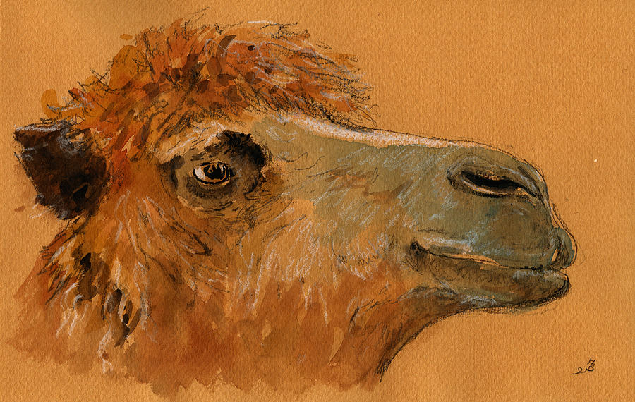 Wildlife Painting - Camel head study by Juan  Bosco
