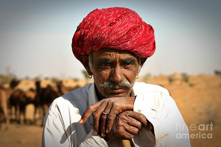 Camel Herder India Photograph by Henry Kowalski