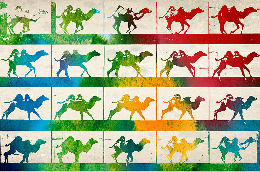 Camel Digital Art - Camel Locomotion by Aged Pixel