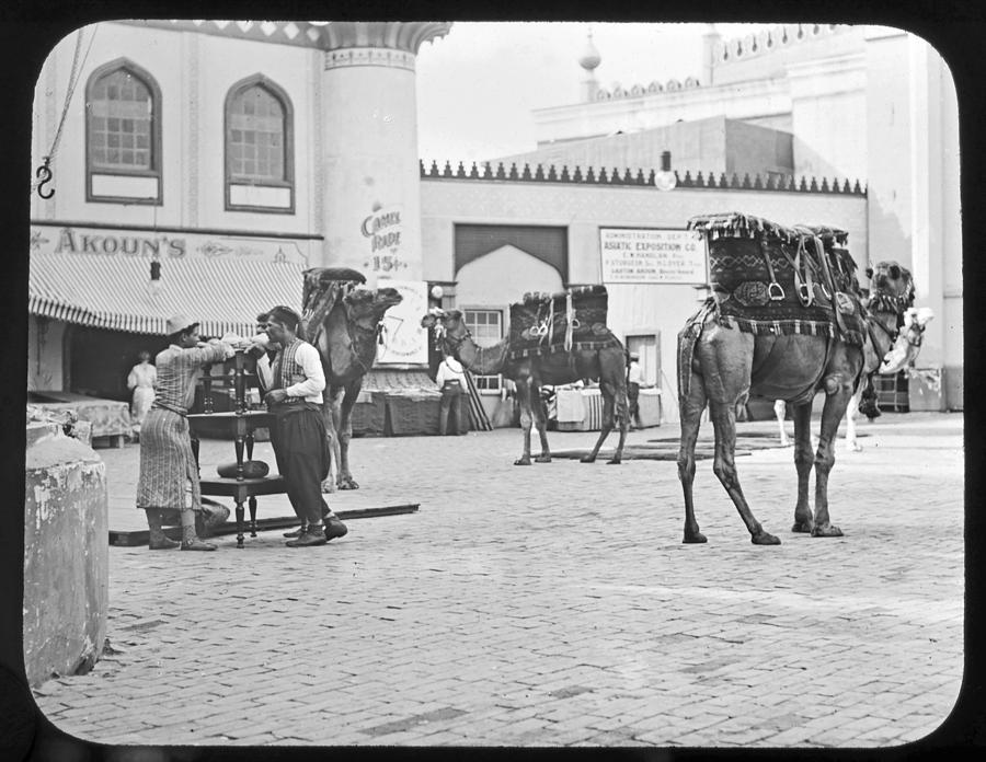 Camel Ride 1904 Worlds Fair Photograph by A Macarthur Gurmankin