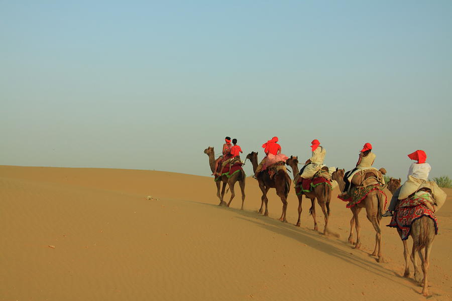 Camel Safari In The Thar Desert Photograph by Mark Hollowell