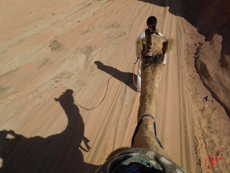 Camel Walk in the Sinai Desert Egypt. Photograph by Colette V Hera Guggenheim