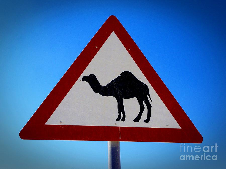 Camel Photograph - Camel Warning Road Sign by Henry Kowalski