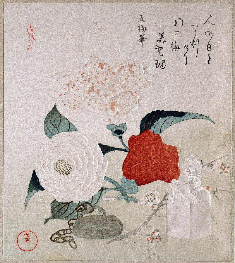 Camellia Flowers a Netsuke and a Seal Drawing by Kubo Shunman