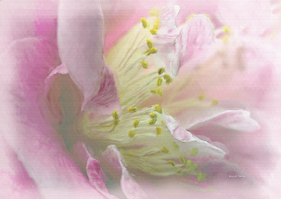 Camellia in Pink Painting by Angela Stanton