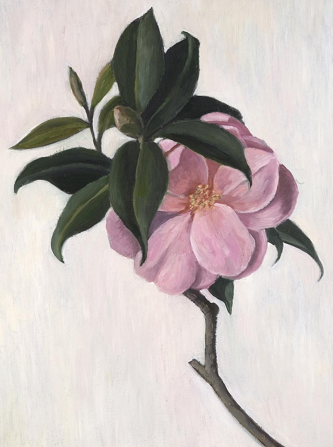 Still Life Painting - Camellia by Ruth Addinall