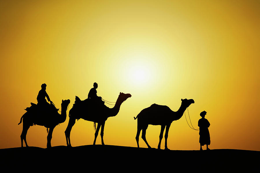 Adam Jones Photograph - Camels And Camel Driver Silhouetted by Adam Jones