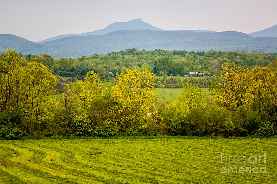Camels Hump Spring Photograph by Susan Cole Kelly