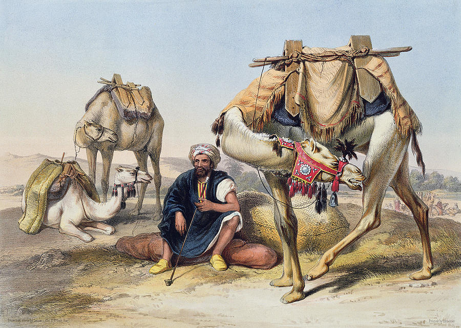 Desert Drawing - Camels Resting In The Sherkiyeh, Land by Emile Prisse dAvennes