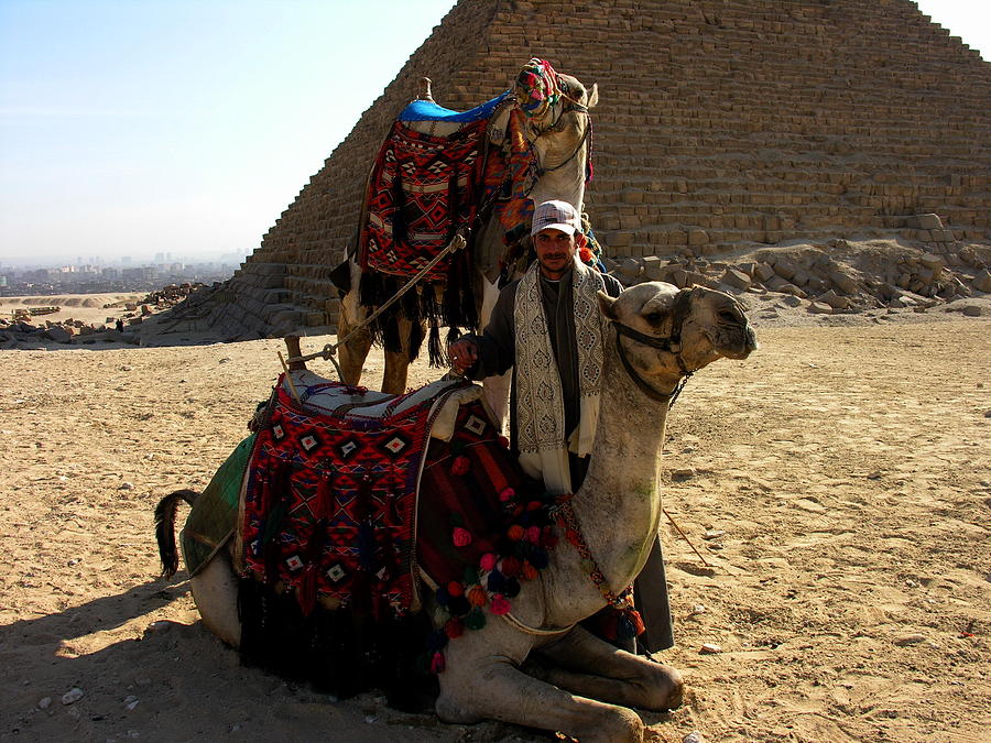 Camels with Master - Cairo Egypt Photograph by Jacqueline M Lewis
