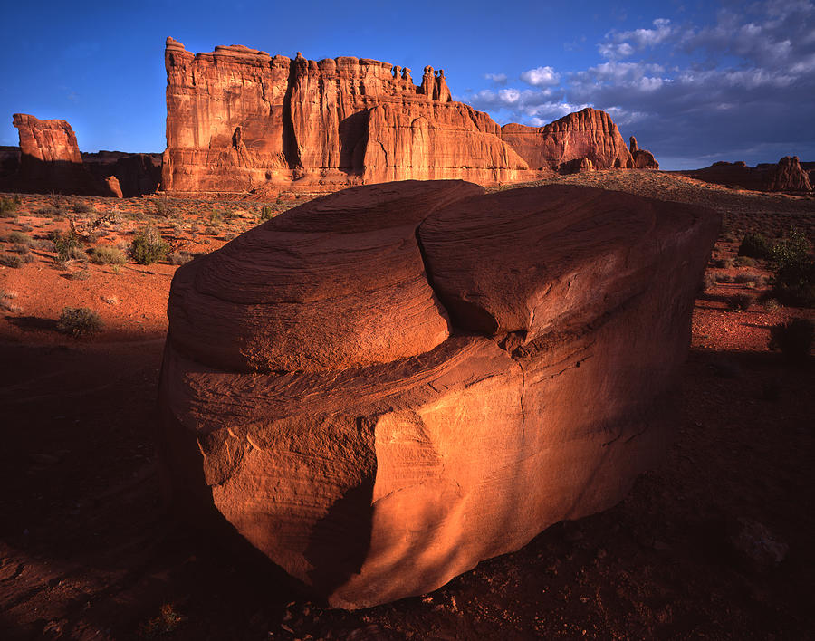 Arches National Park Photograph - Cameo Appearance by Ray Mathis