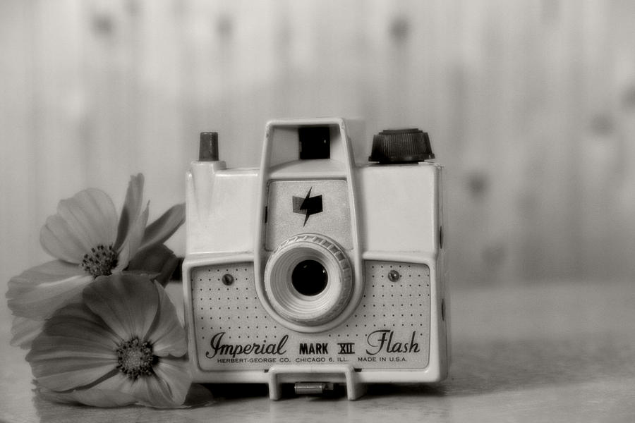 Vintage Photograph - Camera Memories by Heather Allen
