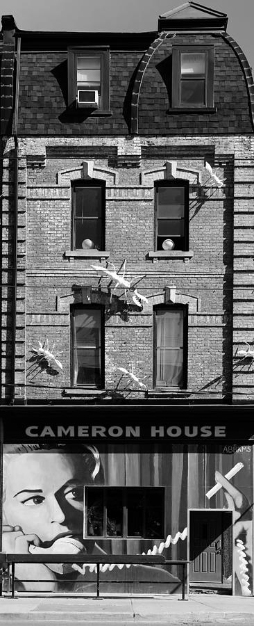 Cameron House 2b Photograph by Andrew Fare
