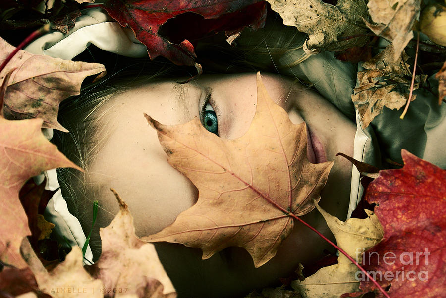 Fall Photograph - Camouflage by Aimelle Ml