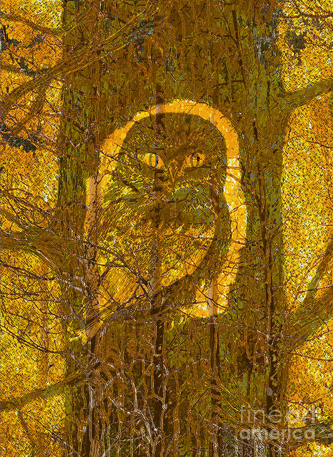 Owl Digital Art - Camouflaged  by Native Spirit