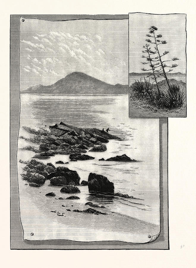 Vintage Drawing - Camp Bay. Apes Hill, Africa by English School