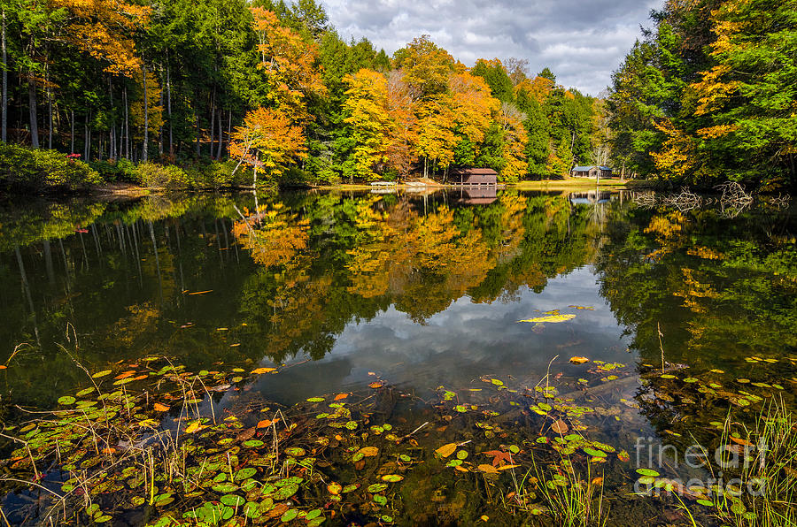 Camp blanton Autumn Photograph by Anthony Heflin