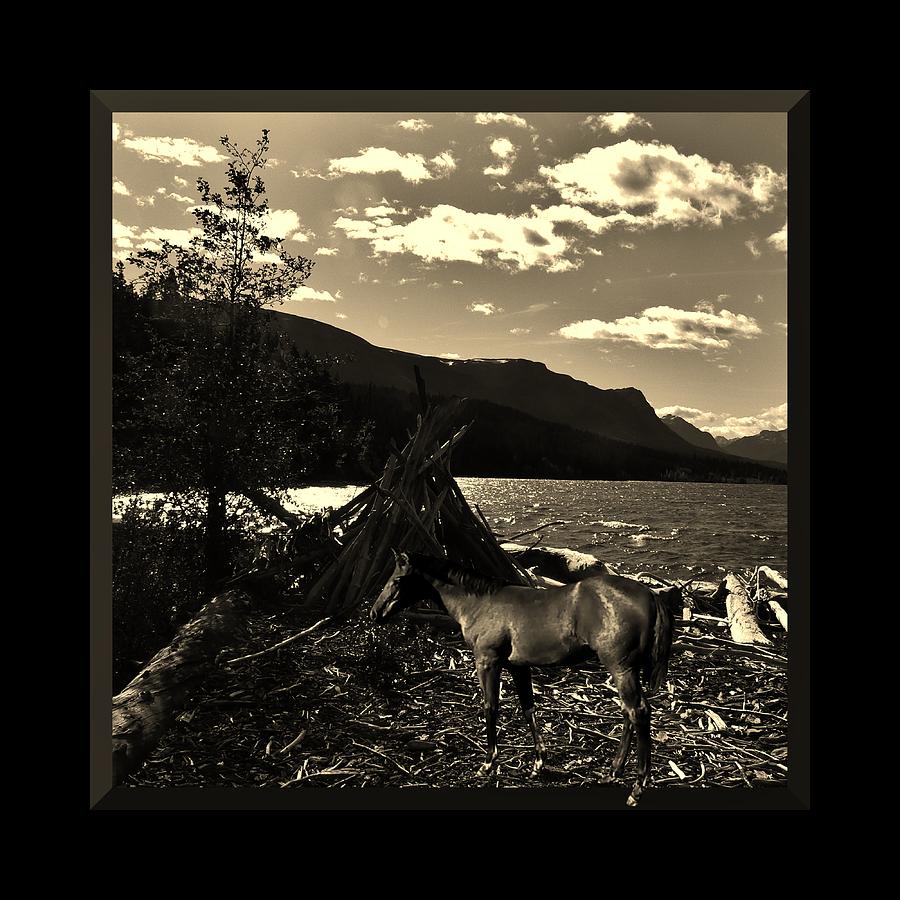 Black And White Photograph - Camp Site by Barbara St Jean