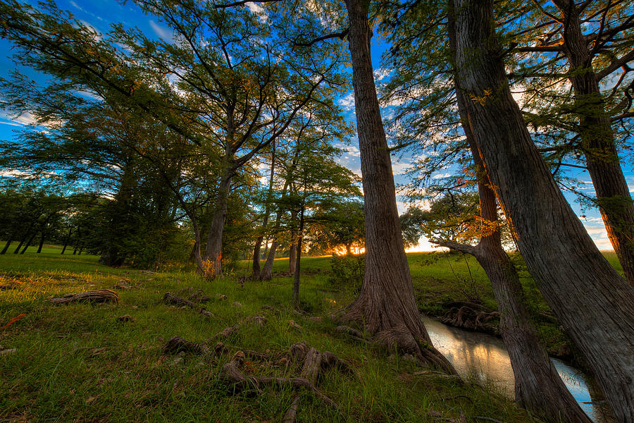 Camp Verde Photograph - Camp Vede Creek Morning by Allen Biedrzycki