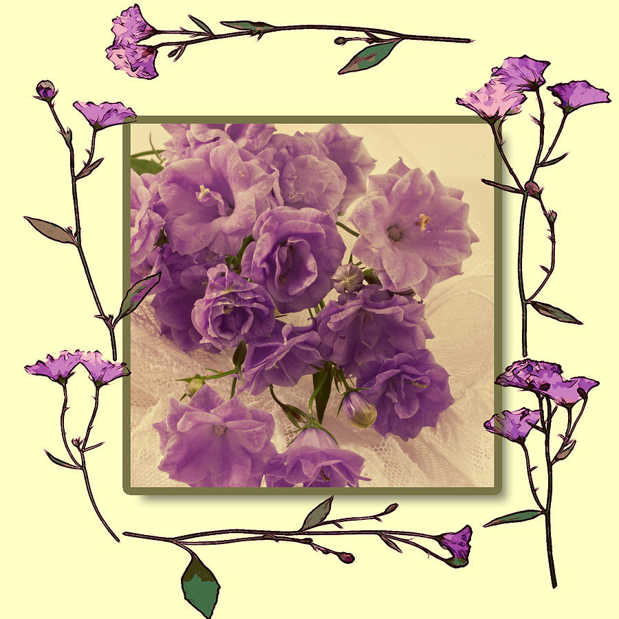 Campanula Framed With Pressed Petals Photograph by Sandra Foster
