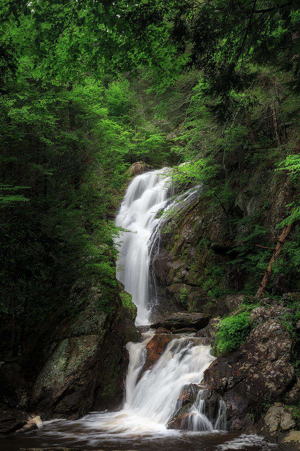 Summer Photograph - Campbell Falls by Bill Wakeley