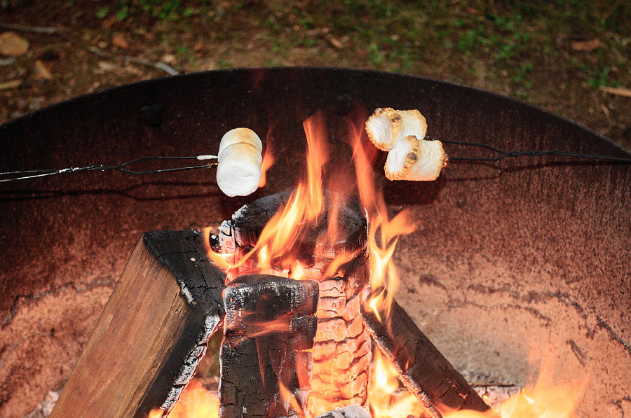 Campfire Marshmallow Roast Photograph by Tikvahs Hope