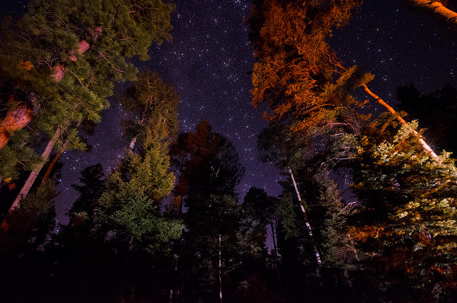 Campfire Under the Stars Photograph by Saija Lehtonen