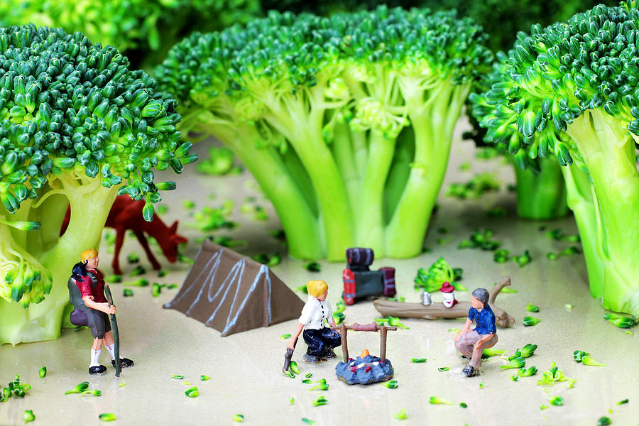 Camping among broccoli jungles miniature art Photograph by Paul Ge