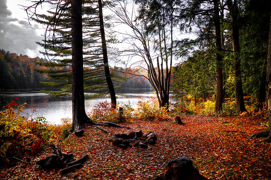 Fall Photograph - Campsite on Cary Lake by David Patterson