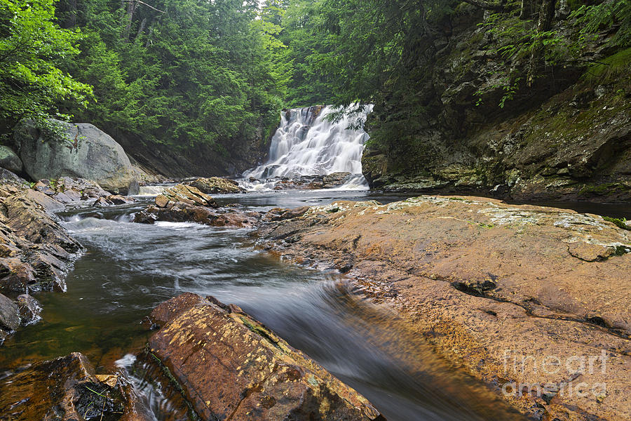 Nature Photograph - Campton Falls - Campton New Hampshire USA by Erin Paul Donovan