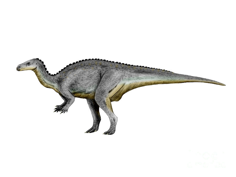 Camptosaurus Dinosaur Digital Art