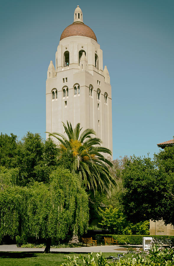 Campus of Stanford University Photograph by Mountain Dreams - Fine Art ...