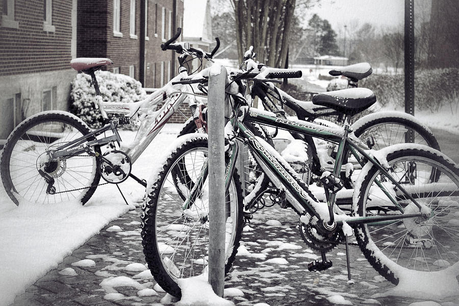 Campus Winter Photograph by Jason Politte