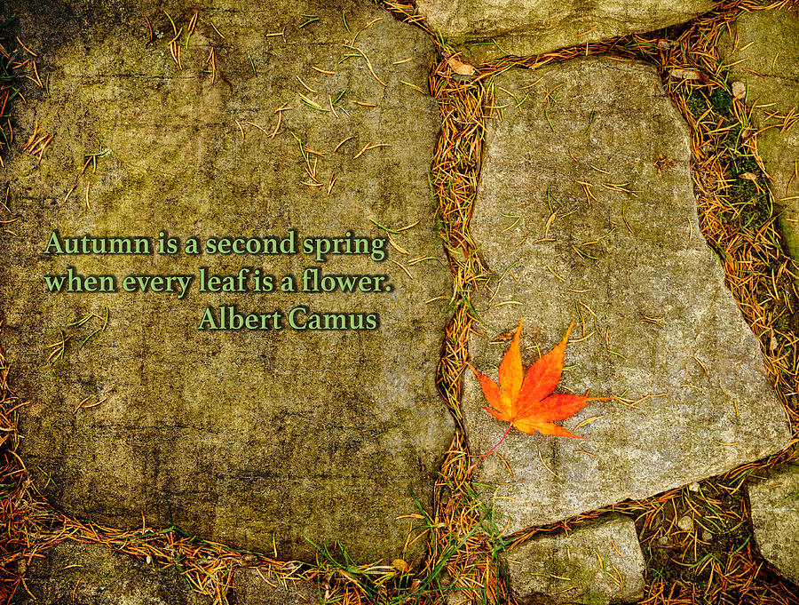 Camus Quote Autumn is a Second Spring Photograph by Marianne Campolongo