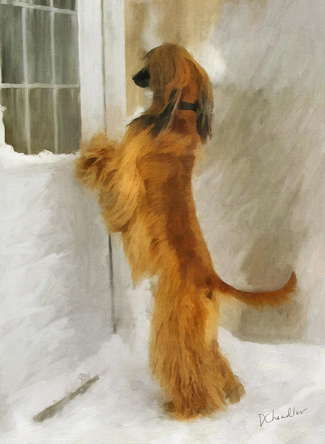 Can I Come In Now? Painting by Diane Chandler