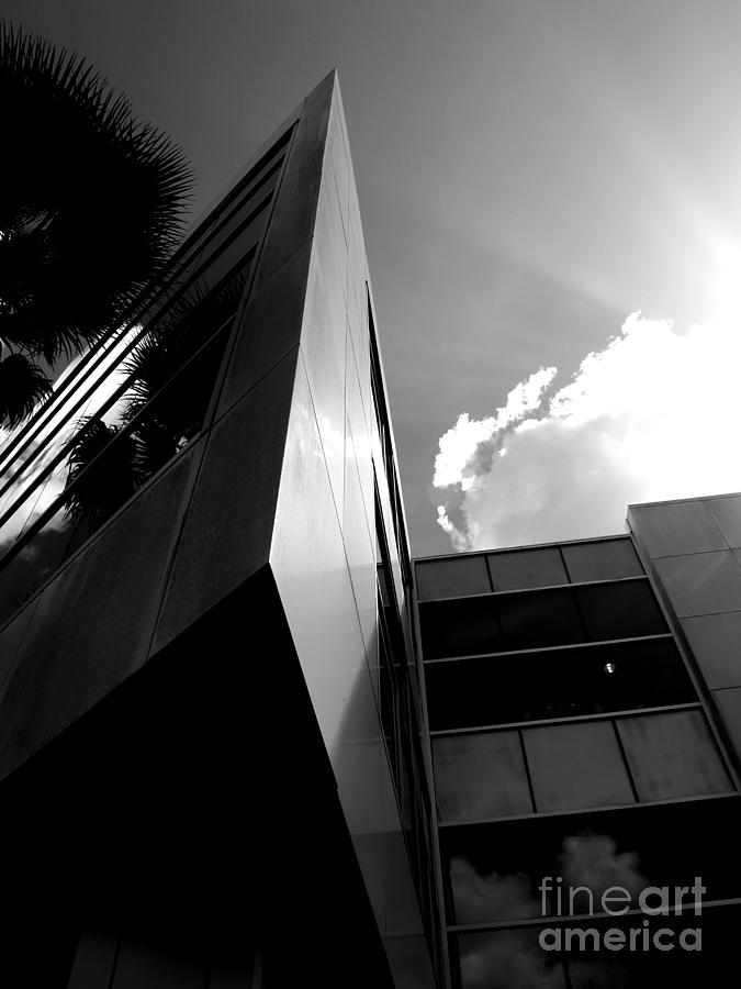 University Of Florida Photograph - Can Light by Craig Pearson