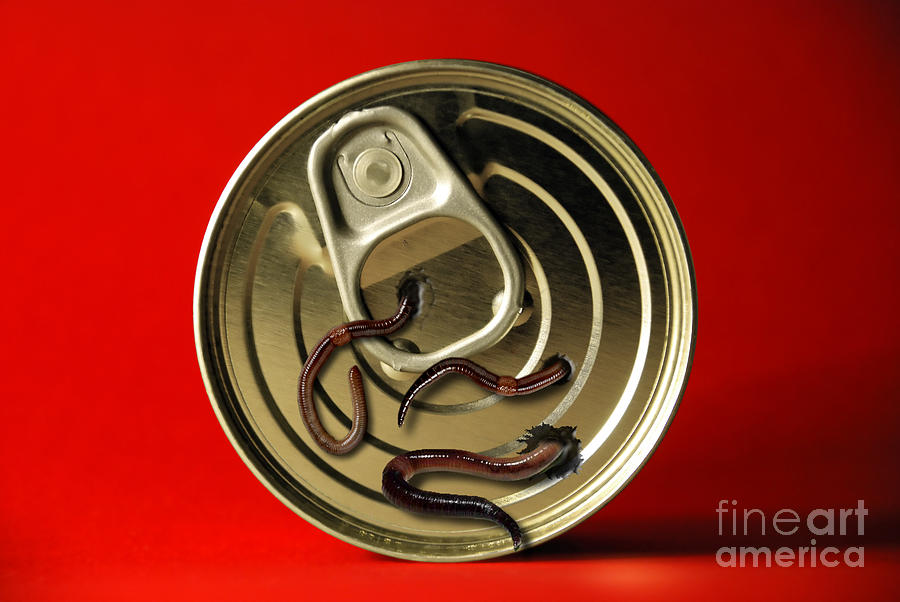 Can Photograph - Can Of Worms by Mike Agliolo